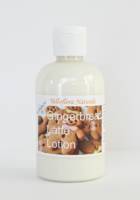 Gingerbread Latte Lotion (Holiday Special) - 8 fl.oz_image